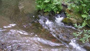 creek