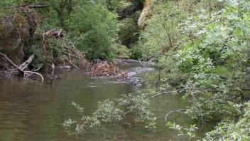 creek