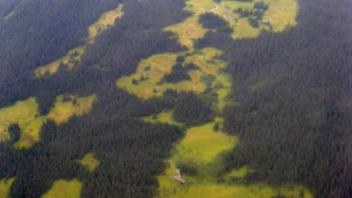 Large meadows in between spruce forests