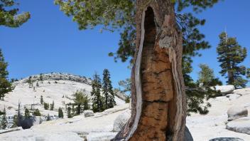 Lembert Dome