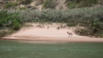 Lower Canyon