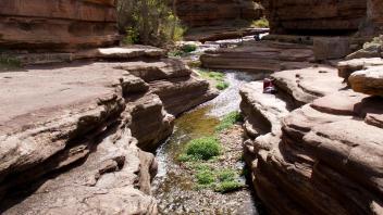 Lower Canyon