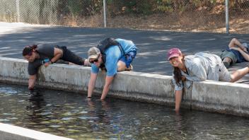 Lower Tuolumne