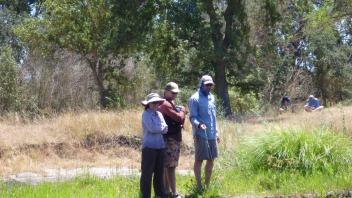 Lower Tuolumne