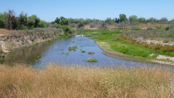Lower Tuolumne