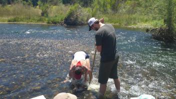 Lower Tuolumne