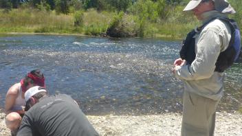 Lower Tuolumne