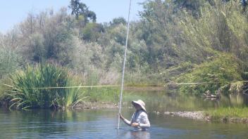 Lower Tuolumne