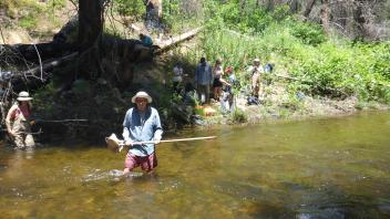 MF Tuolumne