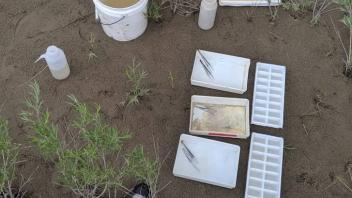 Macroinvertebrate collection kit (Photo_ Caroline Newell)
