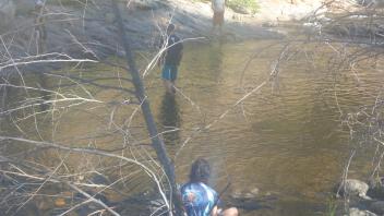 Mainstem Tuolumne