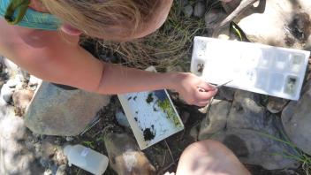 Mainstem Tuolumne