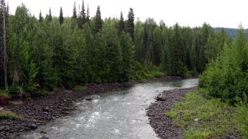 Mosque Creek