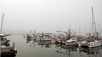 On Our Way to Santa Cruz Island, from Antioch