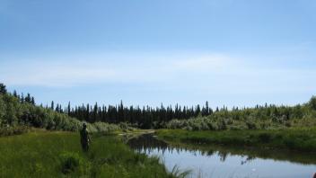 Oxbow