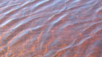 water
