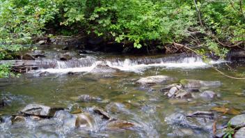 Pratt Falls Creek 