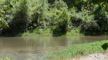 Putah Creek Field Day
