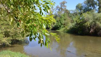 Putah Creek Field Day