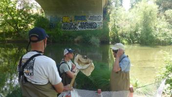 Putah Creek