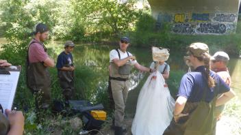 Putah Creek