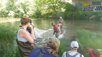 Putah Creek