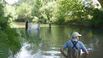 Putah Creek