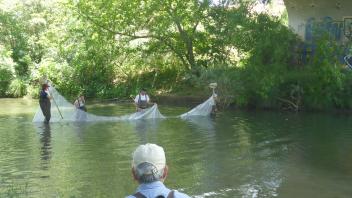 Putah Creek