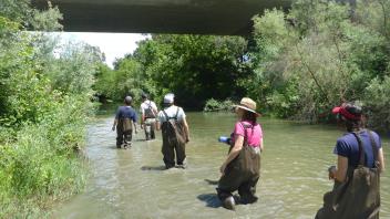 Putah Creek