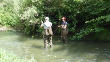 Putah Creek