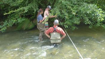 Putah Creek