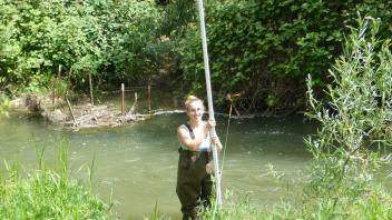 Putah Creek