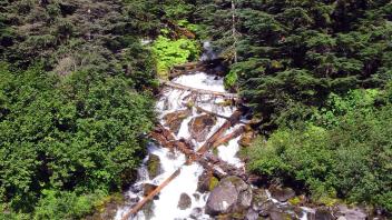 tributary
