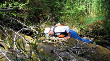 Side Channel Creek