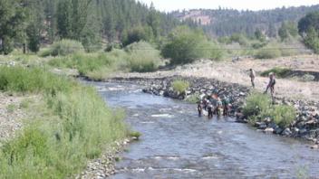River flowing through dry meadow.