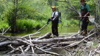 Scott River Electro-Fishing
