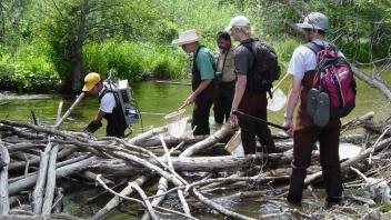 Scott River Electro-Fishing 
