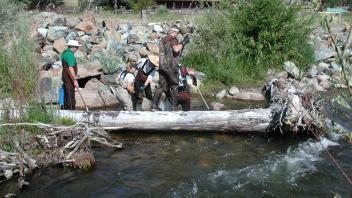 Scott River Electro-Fishing 