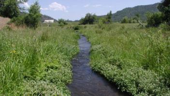 Scott River Emigrant Creek