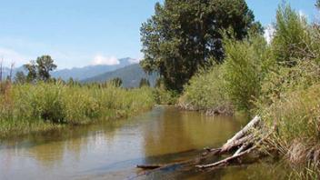 Scott River French Creek