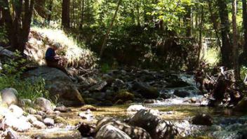 Scott River French Creek