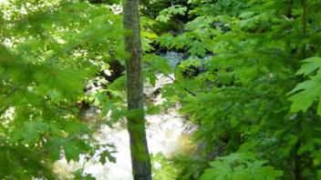 Scott River French Creek