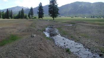 Dry meadow with thin stream.