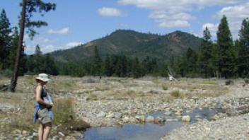 Dry landscape with stream.