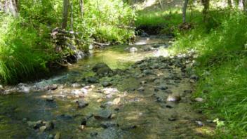 Scott River Miner Creek 3