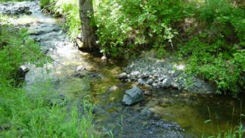 Scott River Miner Creek 5