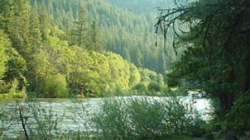 Scott River Pictures 02 campground view