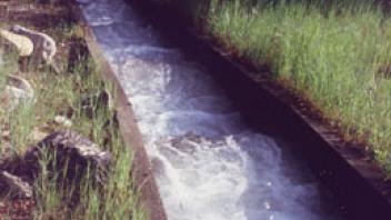 Scott River Reconnoissance