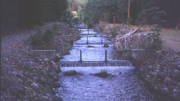 Scott River Reconnoissance