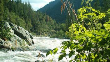 Scott River Reconnoissance